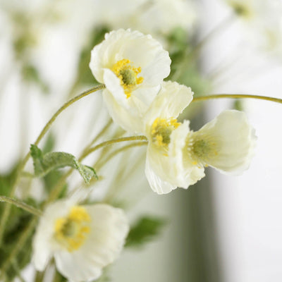 2 Bushes | 33Inch Long Stem Ivory Artificial Silk Poppy Flower Bouquet Spray#whtbkgd