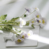 2 Bushes | 33Inch Long Stem Lavender Artificial Silk Poppy Flower Bouquet Spray