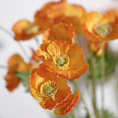 2 Bushes | 33Inch Long Stem Orange Artificial Silk Poppy Flower Bouquet Spray#whtbkgd