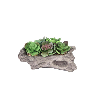 7" Long - Succulent Planter with 5 Artificial Succulents - Hen and Chicks Artificial Plants#whtbkgd