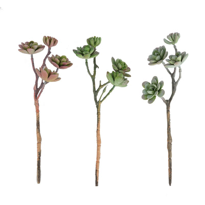 Set of 3 | 13" Assorted Artificial Succulent Plants Echeveria Long Stem Air Plants