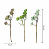 Set of 3 | 18" Assorted Artificial Succulent Plants Echeveria Long Stem Air Plants