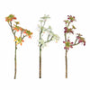 Set of 3 | 18" Assorted Artificial Succulent Plants Aeonium Spray Long Stem Air Plants