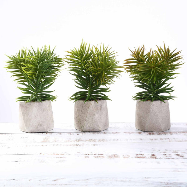 Set of 3 | 8" Assorted Spiky Crassula Artificial Plants with Pots