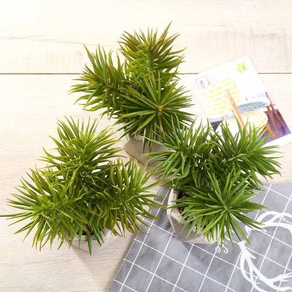 Set of 3 | 8" Assorted Spiky Crassula Artificial Plants with Pots