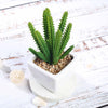 Set of 3 | 7" Assorted Cactus Artificial Plants with Pots