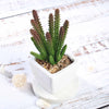 Set of 3 | 7" Assorted Cactus Artificial Plants with Pots