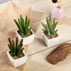 Set of 3 | Assorted Fake Succulents in Pot | 7" Assorted Cactus Artificial Plants with Pots