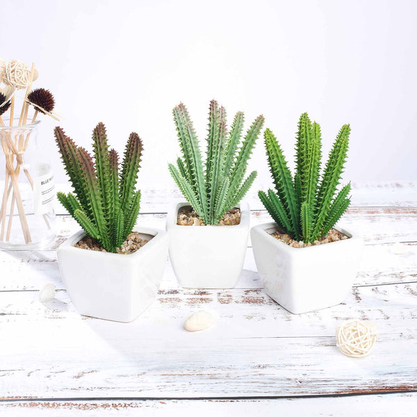 Set of 3 | Assorted Fake Succulents in Pot | 7" Assorted Cactus Artificial Plants with Pots