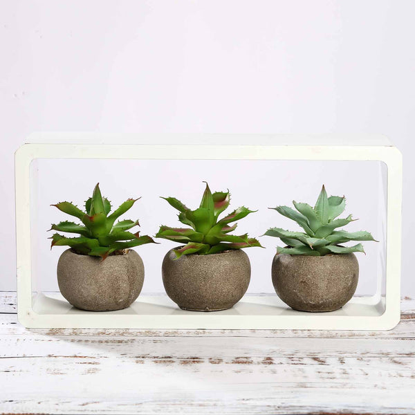 Set of 3 | 5" Assorted Aloe Varietal Artificial Plants with Pots