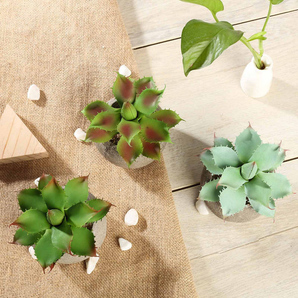 Set of 3 | 5" Assorted Aloe Varietal Artificial Plants with Pots