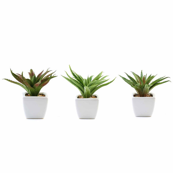 Set of 3 | 5" Assorted Spotted Aloe Vera Artificial Plants with Pots
