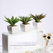 Set of 3 | 5" Assorted Spotted Aloe Vera Artificial Plants with Pots