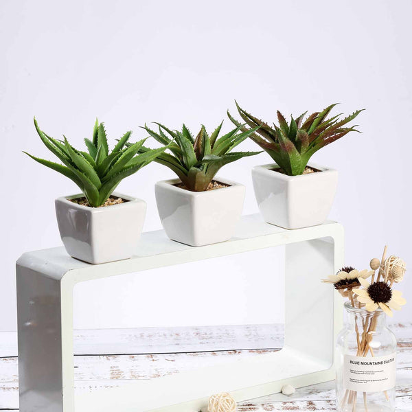 Set of 3 | 5" Assorted Spotted Aloe Vera Artificial Plants with Pots