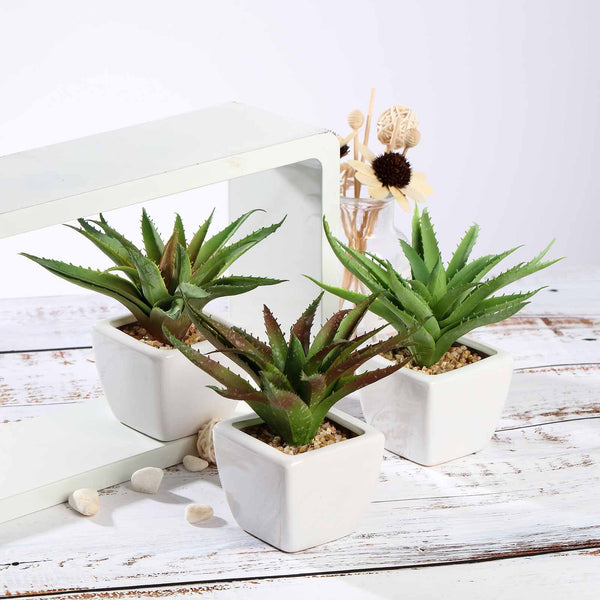 Set of 3 | 5" Assorted Spotted Aloe Vera Artificial Plants with Pots