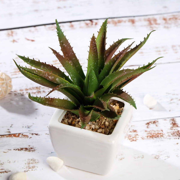 Set of 3 | 5" Assorted Spotted Aloe Vera Artificial Plants with Pots