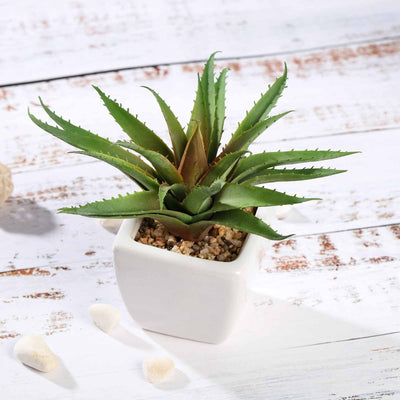 faux aloe vera plant Set of 3