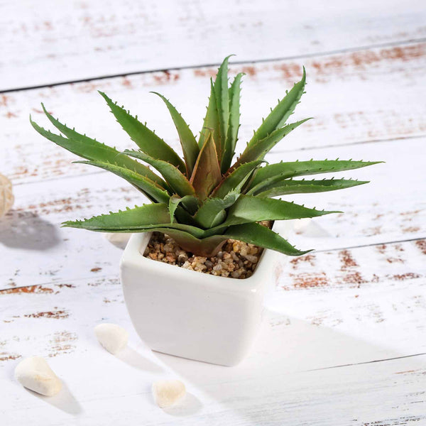 Set of 3 | 5" Assorted Spotted Aloe Vera Artificial Plants with Pots