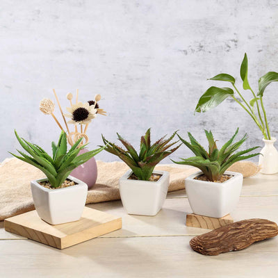 small faux plants in white pots Set of 3