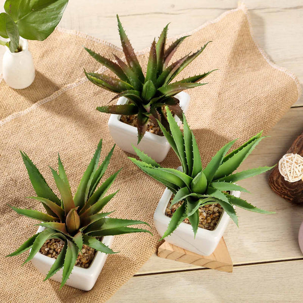 Set of 3 | 5" Assorted Spotted Aloe Vera Artificial Plants with Pots