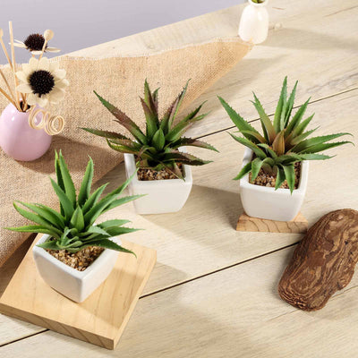 succulent plants faux Set of 3