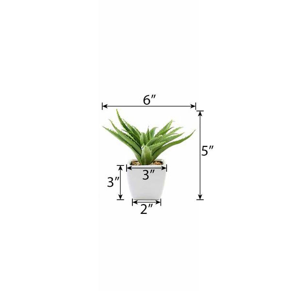 Set of 3 | 5" Assorted Spotted Aloe Vera Artificial Plants with Pots