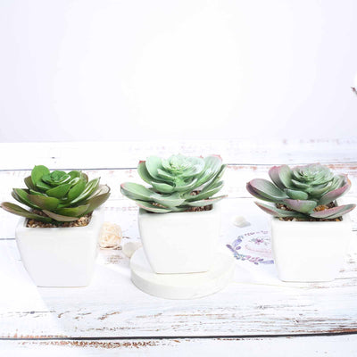 Set of 3 | 4" Assorted Echeveria Artificial Plants with Pots