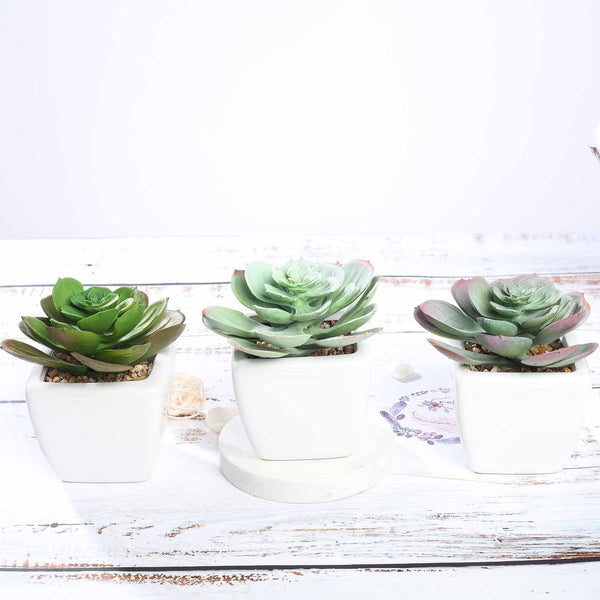 Set of 3 | 4" Assorted Echeveria Artificial Plants with Pots