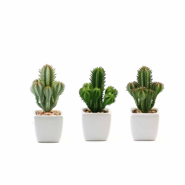 Set of 3 | 5" Assorted Cactus Artificial Plants with Pots