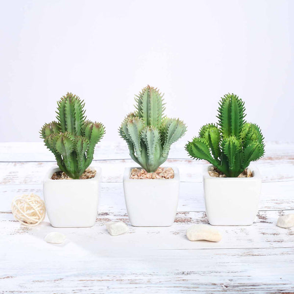 Set of 3 | Assorted Fake Succulents in Pot | 5" Assorted Cactus Artificial Plants with Pots