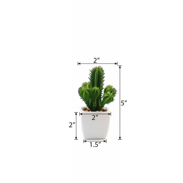 Set of 3 | 5" Assorted Cactus Artificial Plants with Pots
