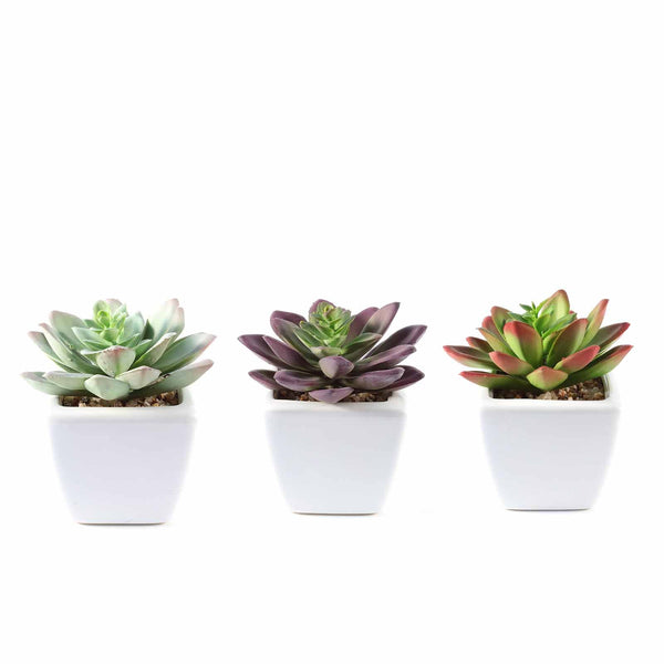 Set of 3 | Assorted Fake Succulents in Pot | 4'' Assorted Echeveria Artificial Plants with Pots