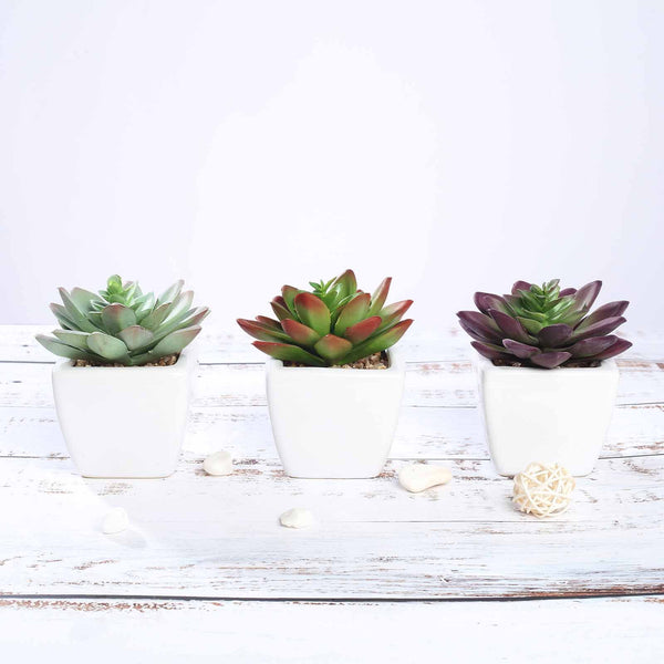 Set of 3 | 4'' Assorted Echeveria Artificial Plants with Pots