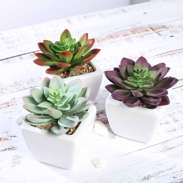 Set of 3 | 4'' Assorted Echeveria Artificial Plants with Pots