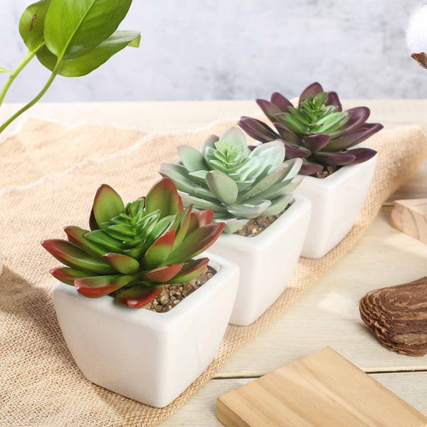 Set of 3 | Assorted Fake Succulents in Pot | 4'' Assorted Echeveria Artificial Plants with Pots