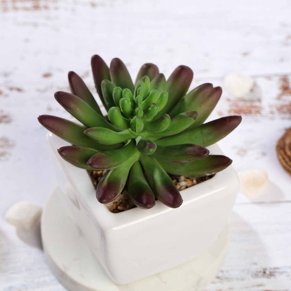 Set of 3 | 4'' Assorted Lotus Artificial Plants with Pots