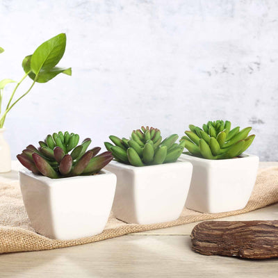 Set of 3 | Assorted Fake Succulents in Pot | 4'' Assorted Lotus Artificial Plants with Pots
