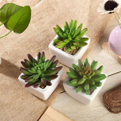 succulent silk plants Set of 3