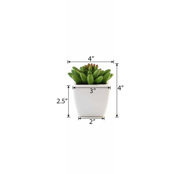 Set of 3 | 4'' Assorted Lotus Artificial Plants with Pots