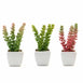 Assorted Fake Succulents in Pot | 8'' Assorted Sedum Oaxacanum Artificial Plants with Pots