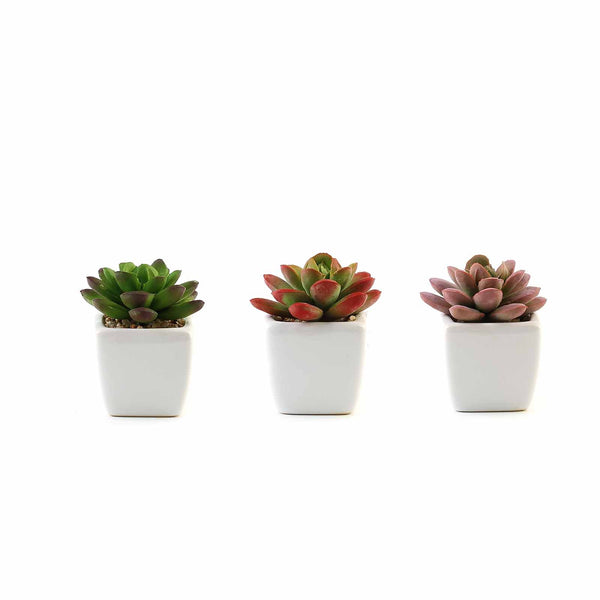 Set of 3 | Assorted Fake Succulents in Pot | 3'' Assorted Mini Echeveria Artificial Plants with Pots