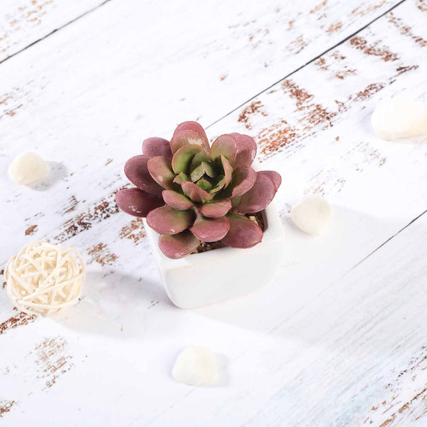 Set of 3 | 3'' Assorted Mini Echeveria Artificial Plants with Pots