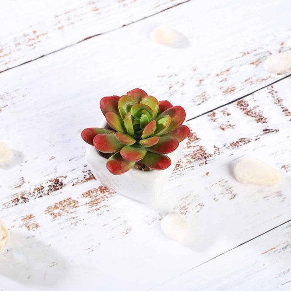Set of 3 | 3'' Assorted Mini Echeveria Artificial Plants with Pots