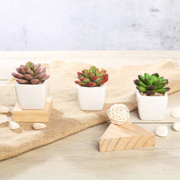 Set of 3 | 3'' Assorted Mini Echeveria Artificial Plants with Pots