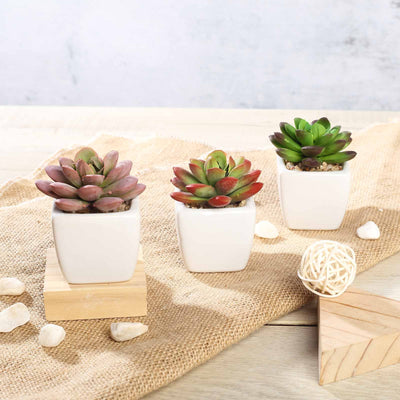 Set of 3 | Assorted Fake Succulents in Pot | 3'' Assorted Mini Echeveria Artificial Plants with Pots