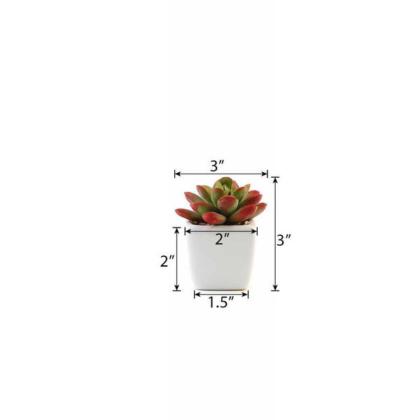 Set of 3 | 3'' Assorted Mini Echeveria Artificial Plants with Pots