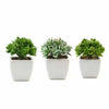 Set of 3 | 4'' Assorted Green Echeveria Artificial Plants with Pots