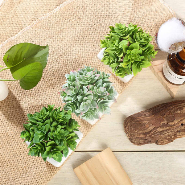 Set of 3 | 4'' Assorted Green Echeveria Artificial Plants with Pots