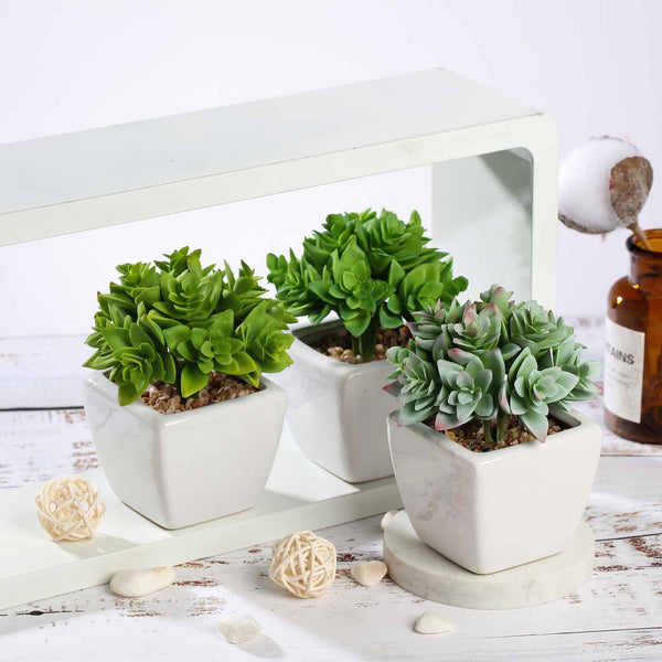 Set of 3 | 4'' Assorted Green Echeveria Artificial Plants with Pots
