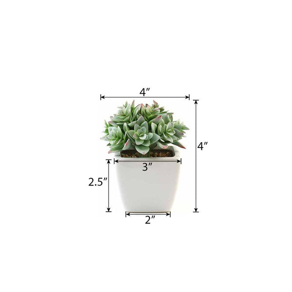 Set of 3 | 4'' Assorted Green Echeveria Artificial Plants with Pots